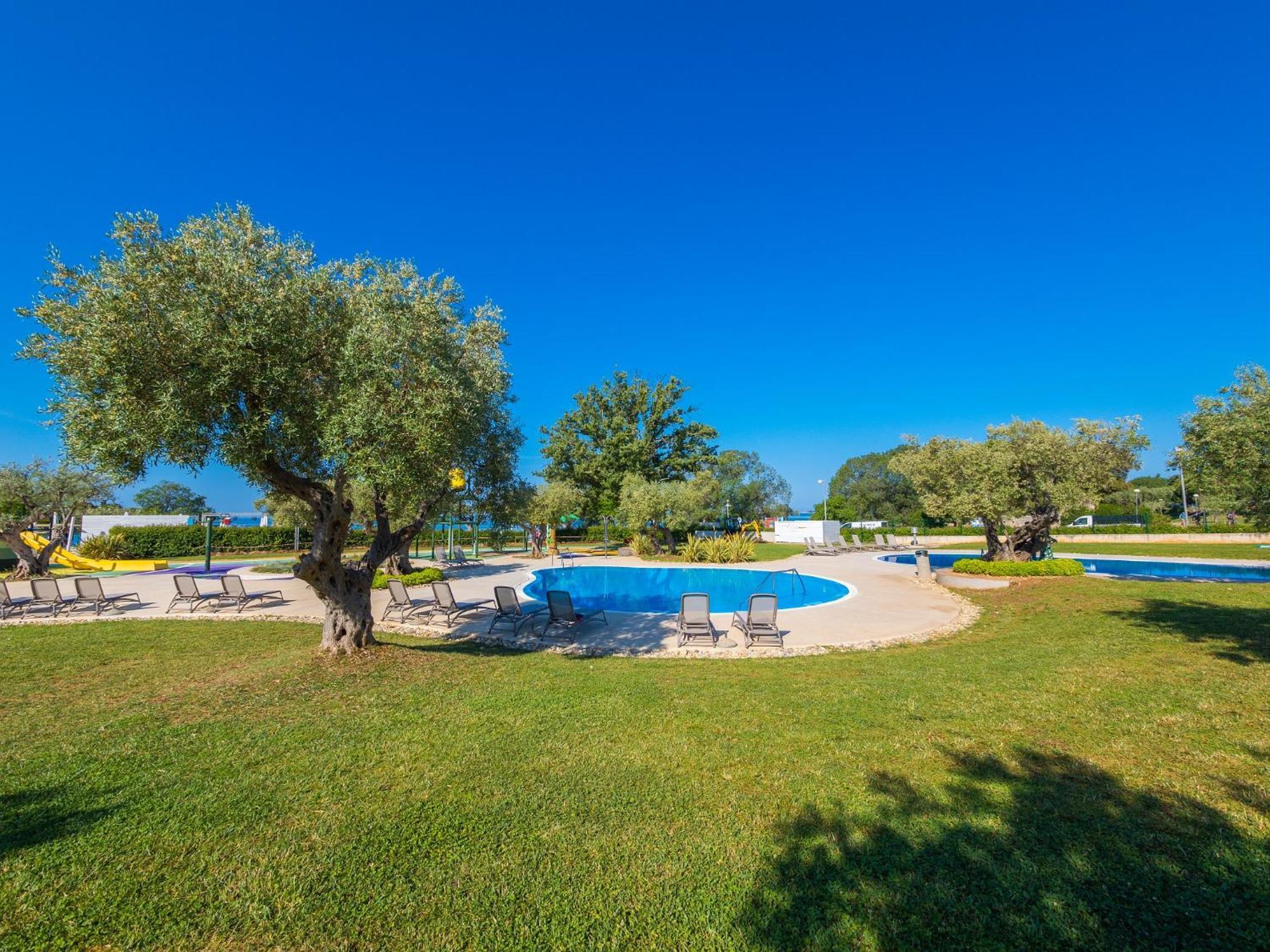 Eurocamp Tents At Campsite Polari Rovinj Exteriör bild